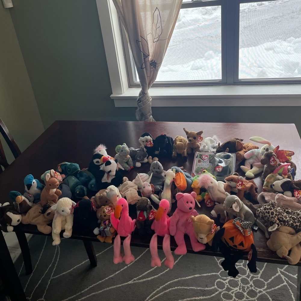 Lot of 50+ beanie babies